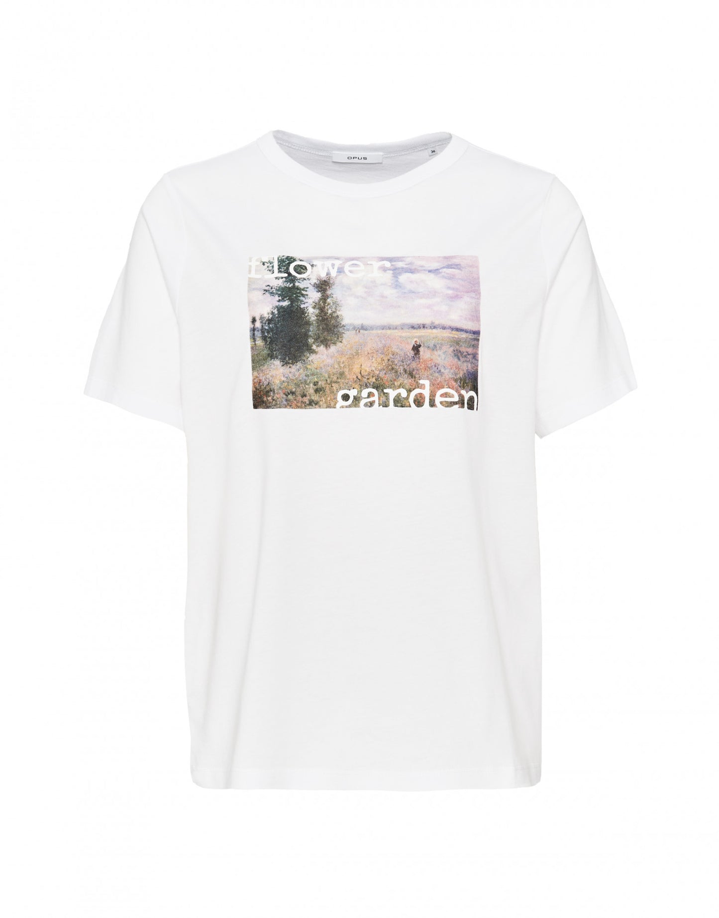 Sadena print